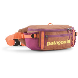 Ledvinka Patagonia Black Hole Waist Pack 5L