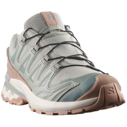 Dámské boty Salomon Xa Pro 3D V9 Gore-Tex Lifelong