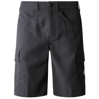 Pánské kraťasy The North Face Horizon Circular Short