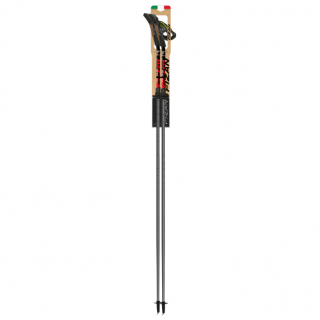 Nordic walking hole Fizan Carbon Pro Impulse 2