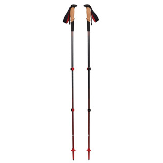 Trekové hole Black Diamond Pursuit Shock Trekking Poles