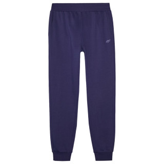 Pánské tepláky 4F Trousers M0943