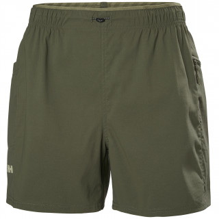 Dámské kraťasy Helly Hansen W Vista Hike Shorts