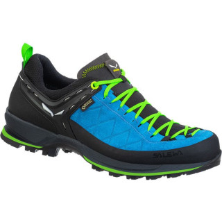 Pánské boty Salewa Ms Mtn Trainer 2 Gtx