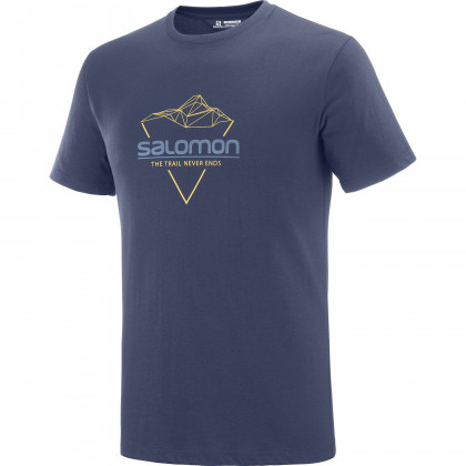 Pánské triko Salomon Blend Logo Tee