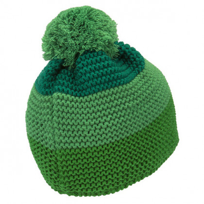 Čepice Husky Hat 4 zelená