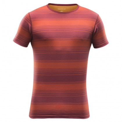 Pánské triko Devold Breeze Man T-Shirt-syrah stripe