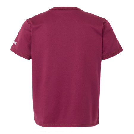 Dětské triko Regatta Alvarado IX