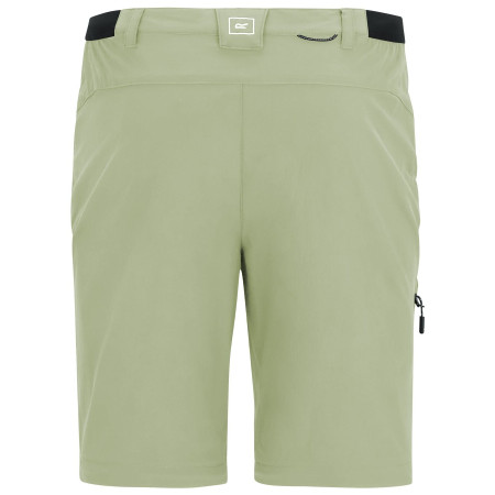 Pánské kalhoty Regatta Anti-Insect Travel Light Z/O Trousers