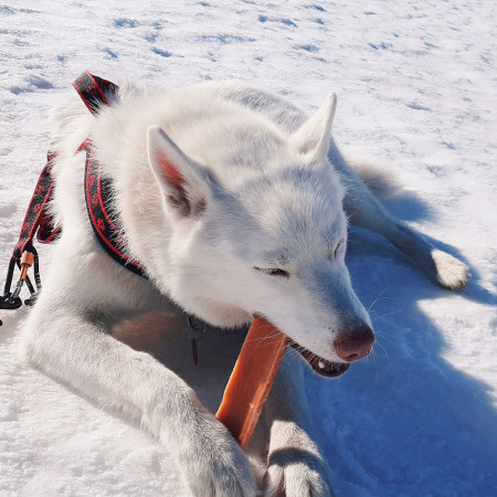 Hračka pro psa Explorer Dog Himálajský pamlsek