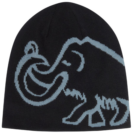Čepice Mammut Mammut Logo Beanie Reversible