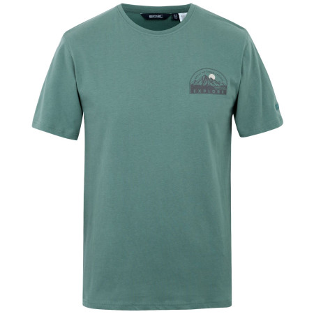 Pánské tričko Regatta Cline IX