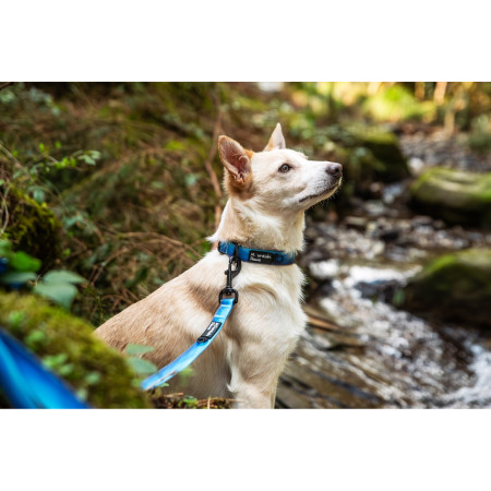 Obojek pro psa Mountain Paws Waterproof Dog Collar