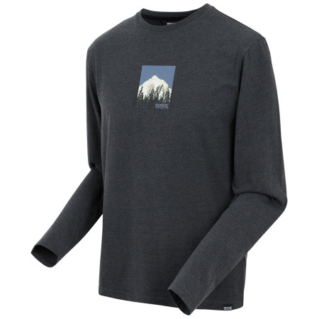 Pánské triko Regatta Maylow