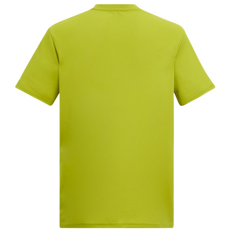 Pánské triko Regatta Fingal