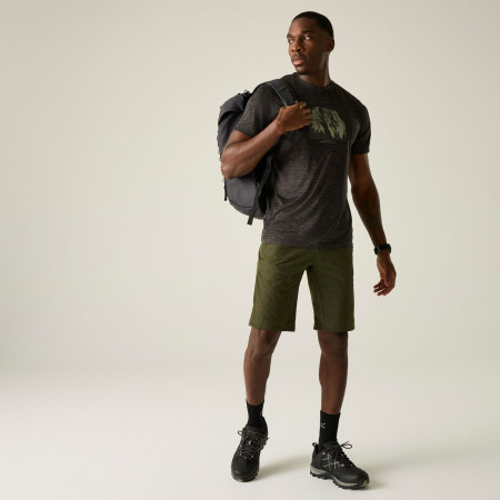 Pánské triko Regatta Fingal