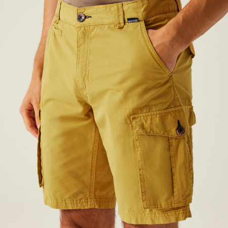 Pánské kraťasy Regatta Shorebay Shorts II