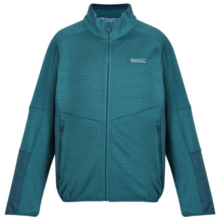 Dětská mikina Regatta Highton WtrFZ III