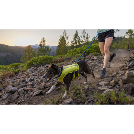 Vodítko s amortizérem Ruffwear Trail Runner™ Leash