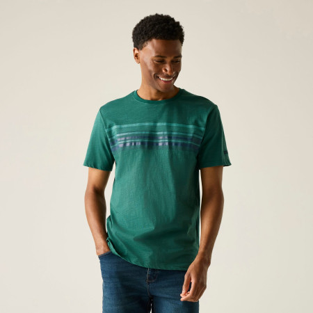 Pánské triko Regatta Rendro