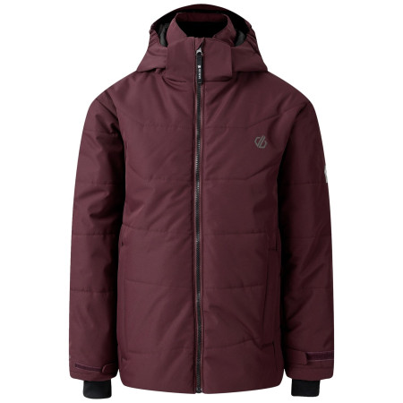 Dětská zimní bunda Dare 2b Explorer Jacket