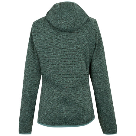 Dámská mikina Regatta Women’s Hooded Newhill