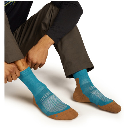 Pánské ponožky Icebreaker M Mer Hike+ Light Crew