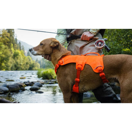 Postroj pro psa Ruffwear Web Master™ Harness
