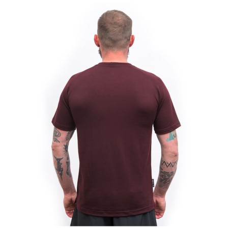 Pánské funkční triko Sensor Merino Blend Elements