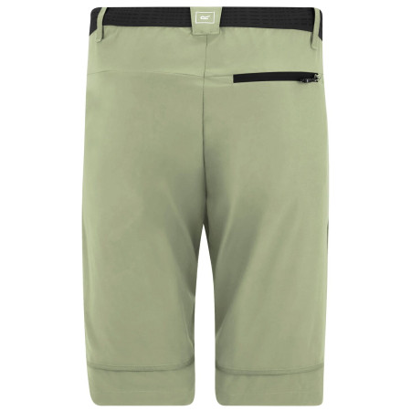 Pánské kraťasy Regatta Mountain Z/O Trousers