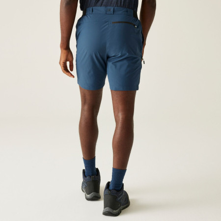 Pánské kraťasy Regatta Travel Light Packaway Shorts