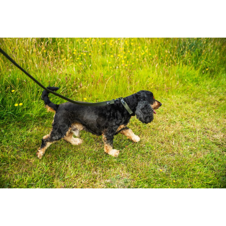 Vodítko na psa Mountain Paws Extra Tough Dog Lead