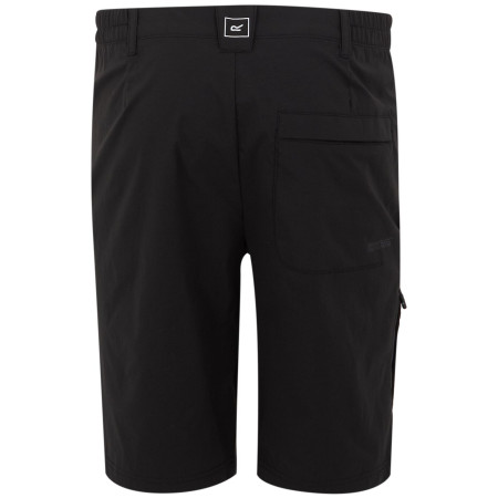 Pánské kraťasy Regatta Highton Shorts Long II