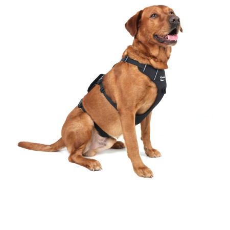 Postroj pro psa Mountain Paws 3-Strap Dog Harness