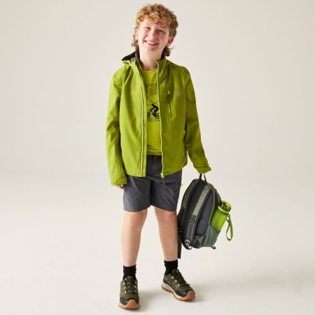 Dětská bunda Dare 2b Kids Switch II Jacket GoldnCypress