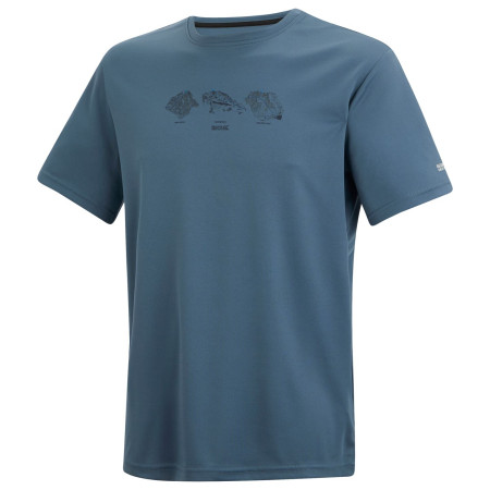 Pánské triko Regatta Fingal