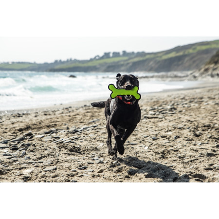 Hračka pro psa Mountain Paws Rubber Bone Dog Toy