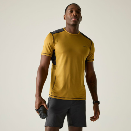 Pánské triko Regatta Virda