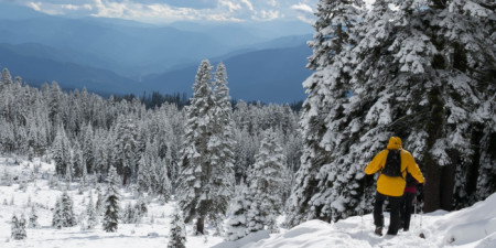 Na zimu v novém a šik - Sensor a Northfinder se slevou 20% na novou kolekci