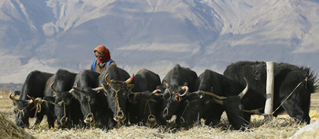 Ozvěny Expediční kamery a Snow film festu na Výstavě stanů