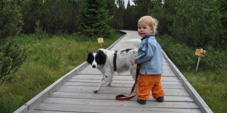 8 tipů, jak dětem zpestřit turistiku
