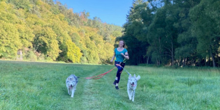 Test: Mizuno Wave Daichi 6 Gtx