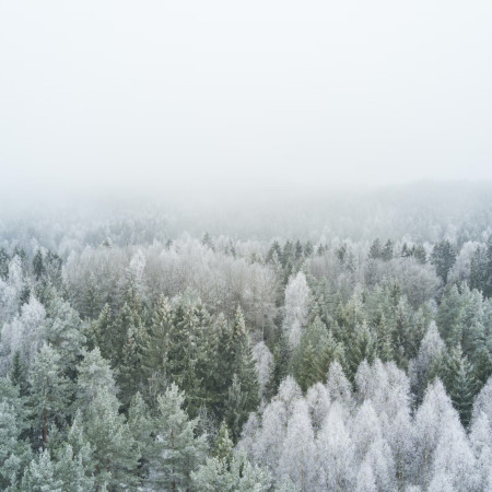 Zima je tu! + Doprava zdarma s Českou poštou