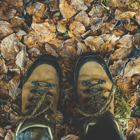 BOTY - abyste nešlápli vedle