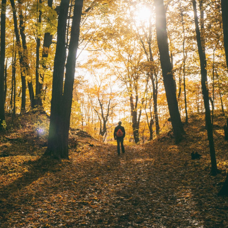 PODZIMNÍ BESTSELLERY - největší pecky z naší nabídky