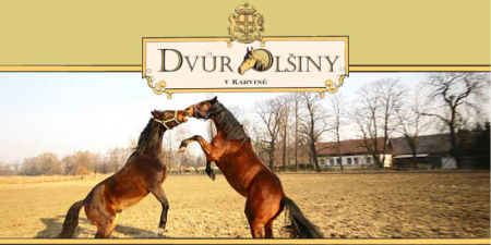 Vyhrajte 3 pobyty na statku Dvůr Olšiny