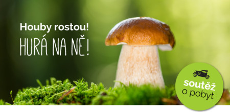 Houby roustou - hurá na ně