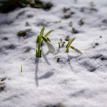 Svěženky - výběr novinek z vybavení na rok 23