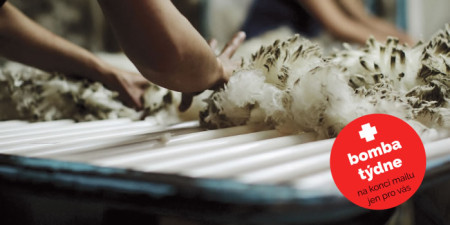 Tajemství ovcí - funkční prádlo z Merino vlny