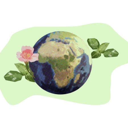  Získali jsme certifikát Udržitelný e-shop